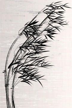 wind