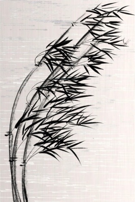 wind